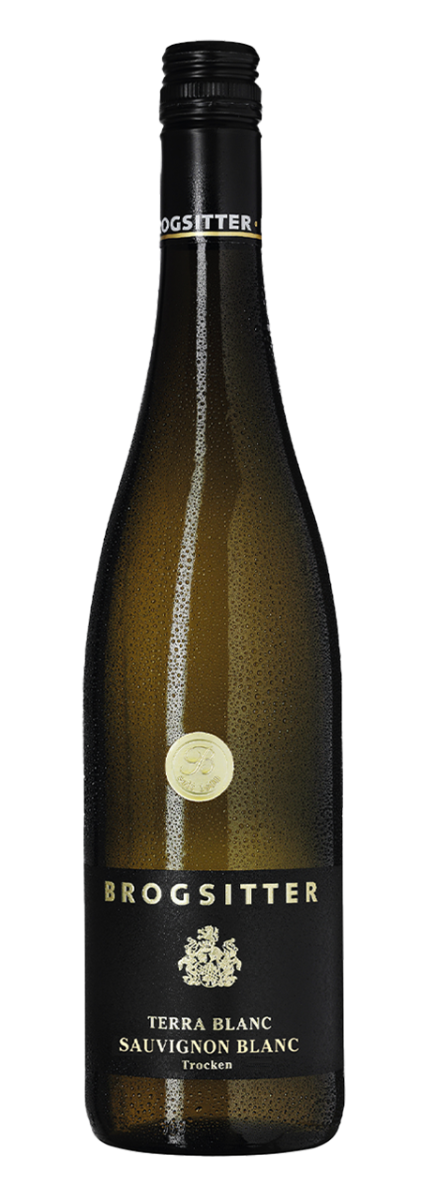 Brogsitter Weingüter Rheinhessen Terra Blanc Sauvignon Blanc 2024