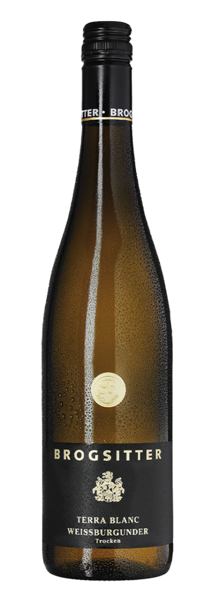 Brogsitter Weingüter Rheinhessen Terra Blanc Weissburgunder 2023