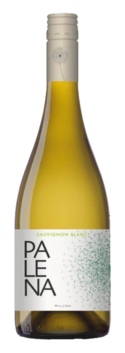 Palena Rappel Valley Sauvignon Blanc 2025