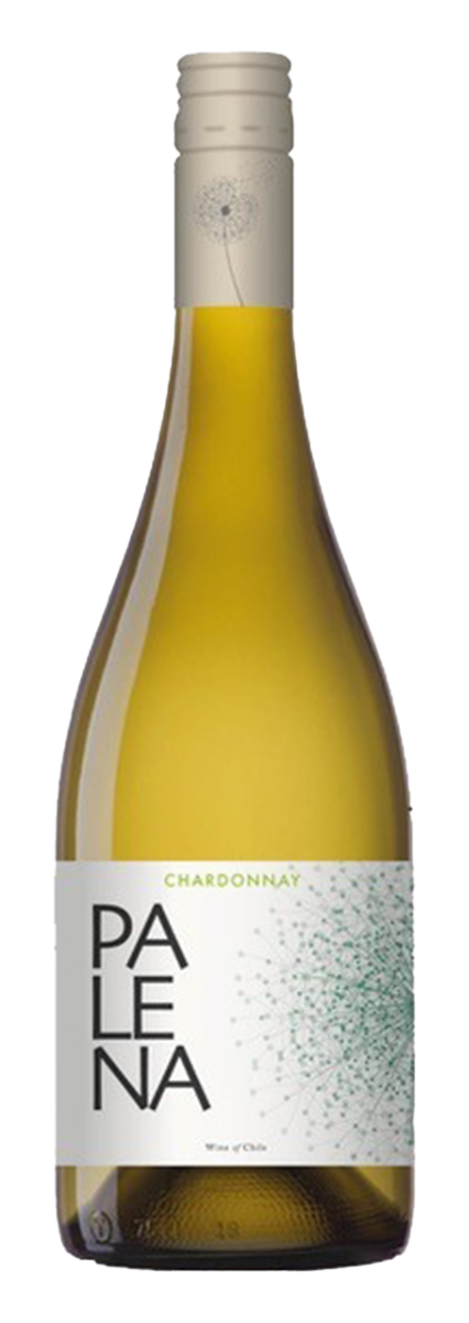 Palena Maipo Valley Chardonnay 2024