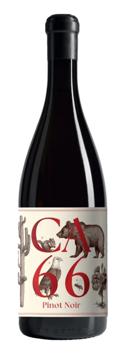 Weingut Hannes Sabathi Südsteiermark DAC CA 66 Pinot Noir 2025