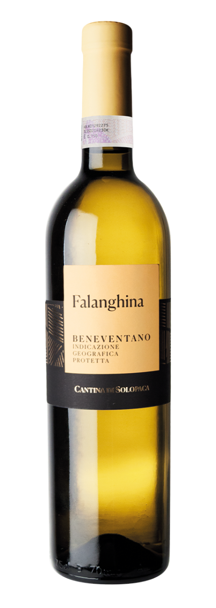 Cantina di Solopaca Beneventano IGT Falanghina 2025