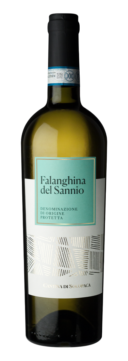 Cantina di Solopaca Falanghina del Sannio DOP 2025