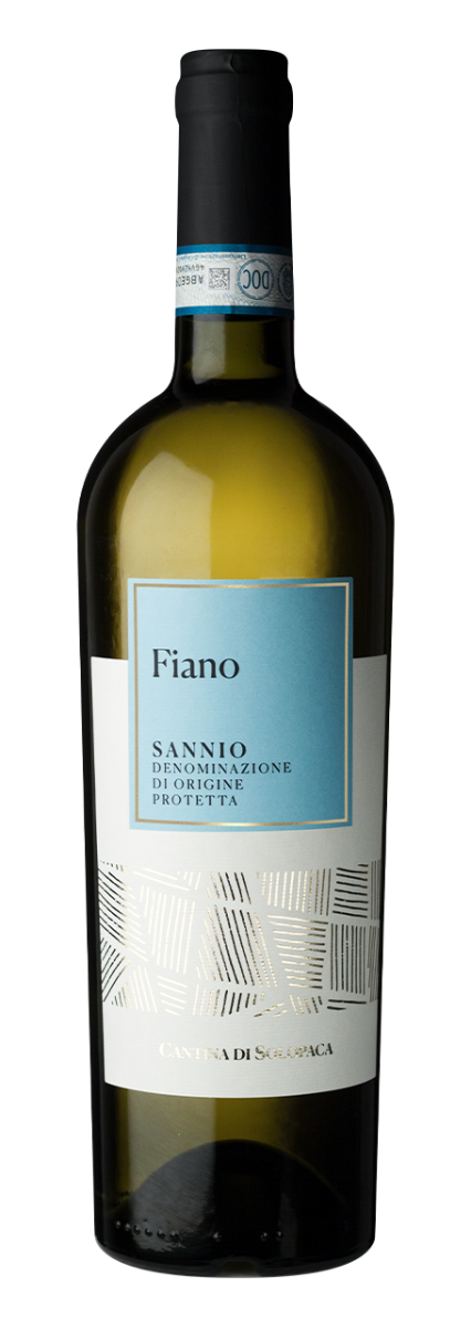 Cantina di Solopaca Fiano Sannio DOP 2024