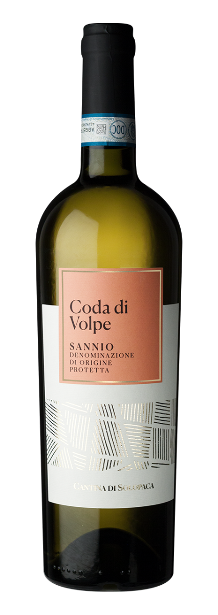 Cantina di Solopaca Coda di Volpe Sannio DOP 2025
