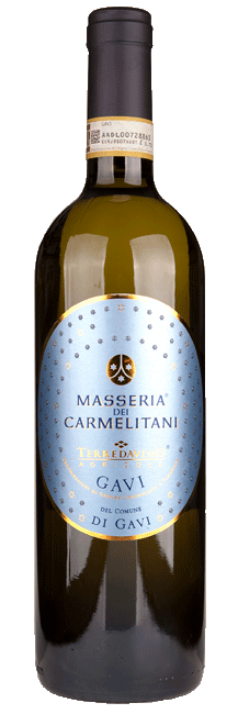 Vite Colte Gavi di Gavi Masseria dei Carmelitani 2024