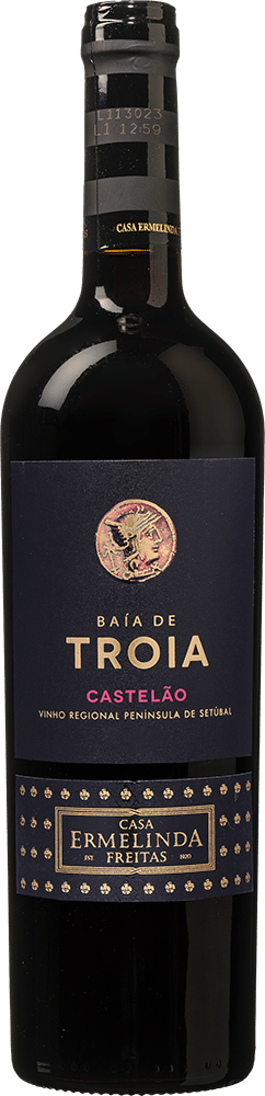 Casa Ermelinda Freitas Baía de Troia Castelão 2023