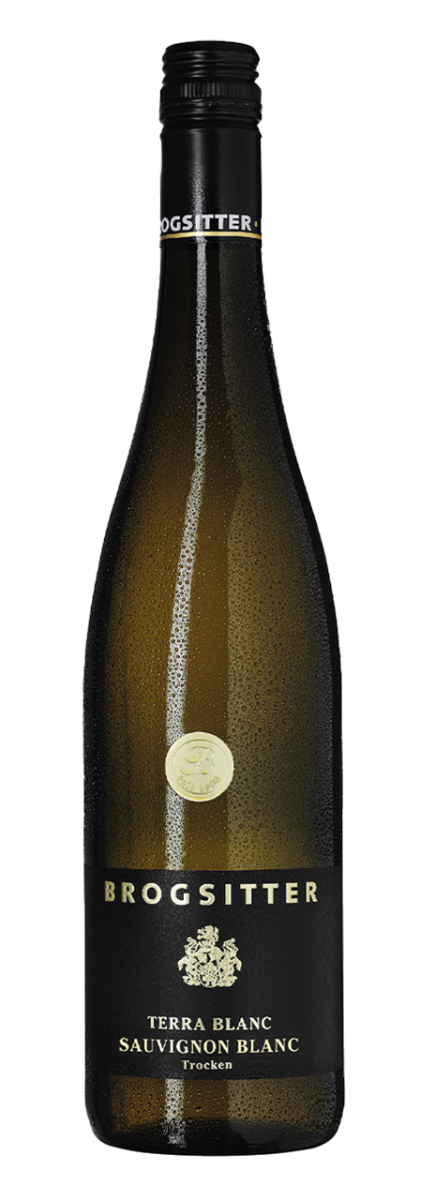 Brogsitter Weingüter Rheinhessen Terra Blanc Sauvignon Blanc 2024