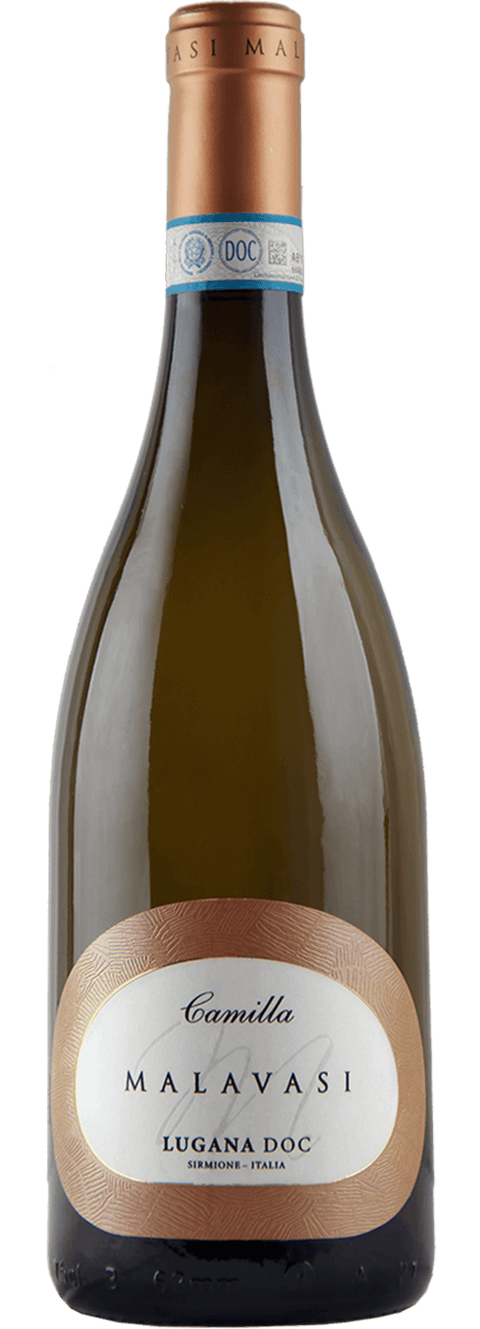 Malavasi Camilla 2024