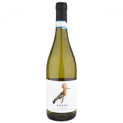 Malavasi Upupa Lugana 2023