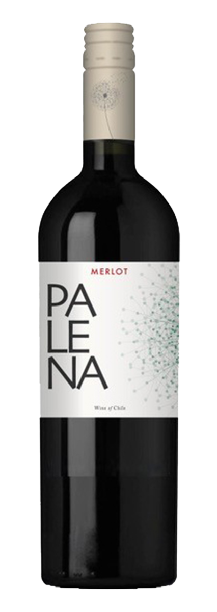 Palena Maipo Valley Merlot 2023